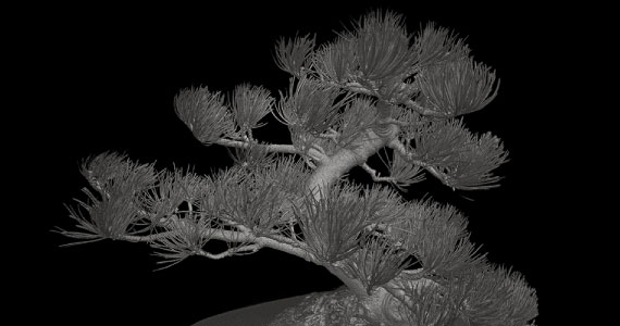 3Dデータ化された盆栽