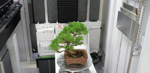 ミリフォーカスCTで盆栽を3Dスキャン