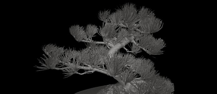 3Dデータ化された盆栽
